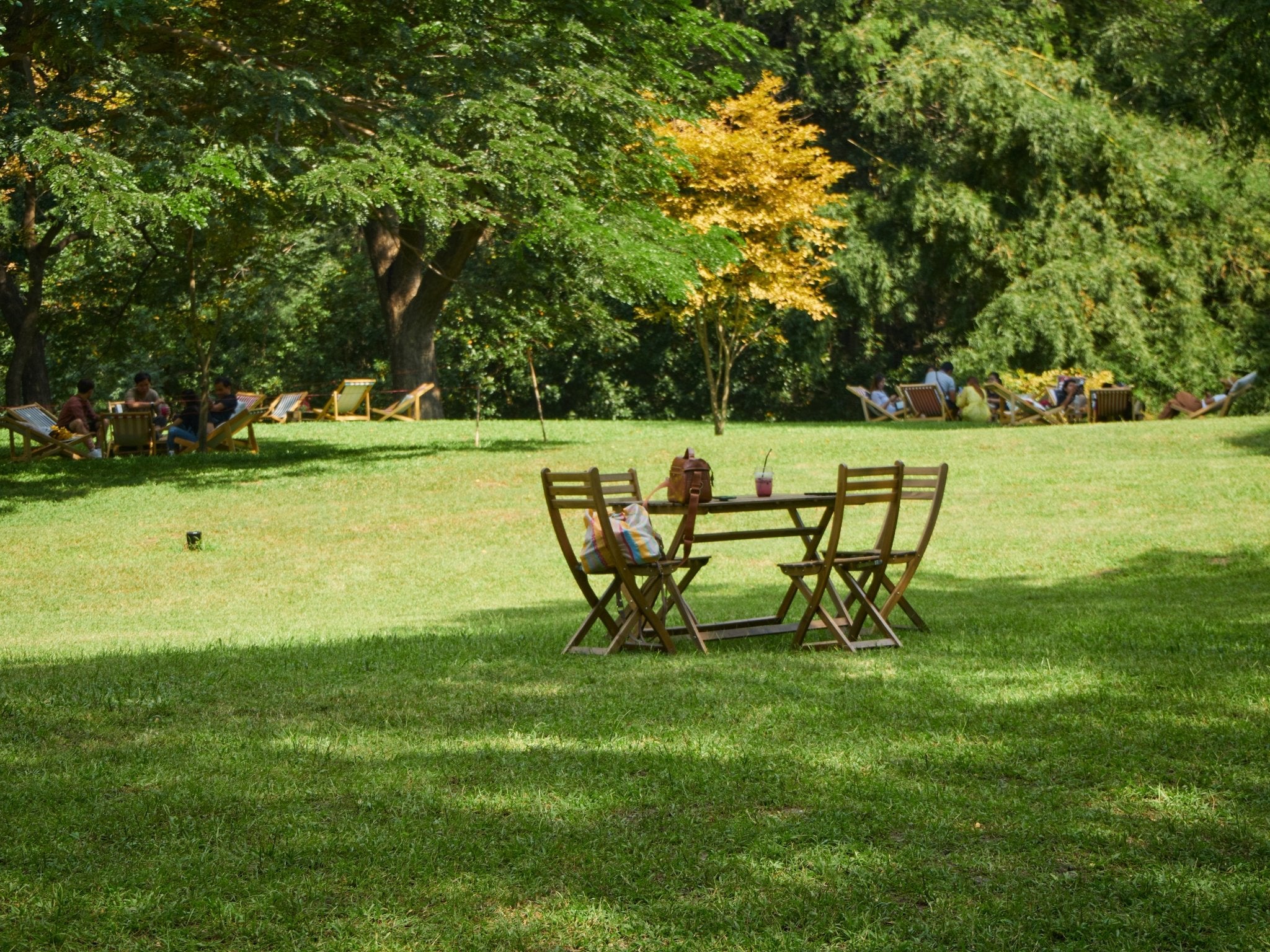 The Quiet Power of a Spring Reset - MiLi